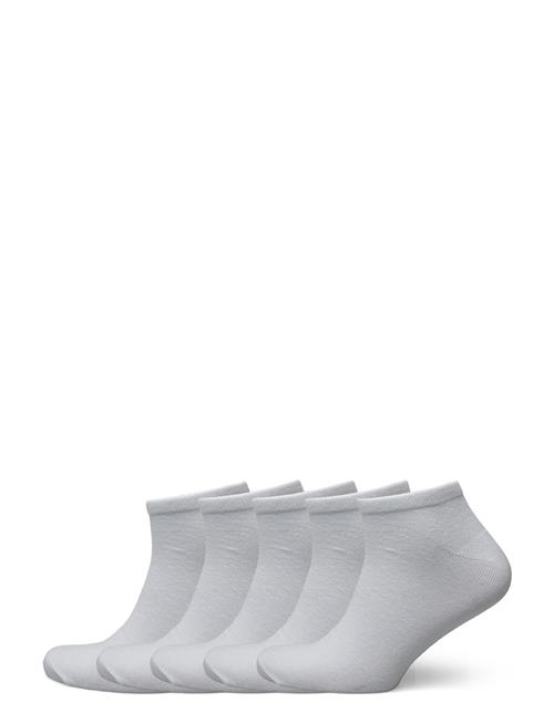 NORVIG | 5-Pack Mens Footie | 40/46