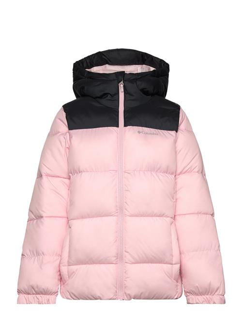 Columbia Sportswear | Puffect Hooded Jacket | 164