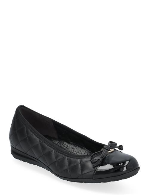 Gabor | Ballerina | 37