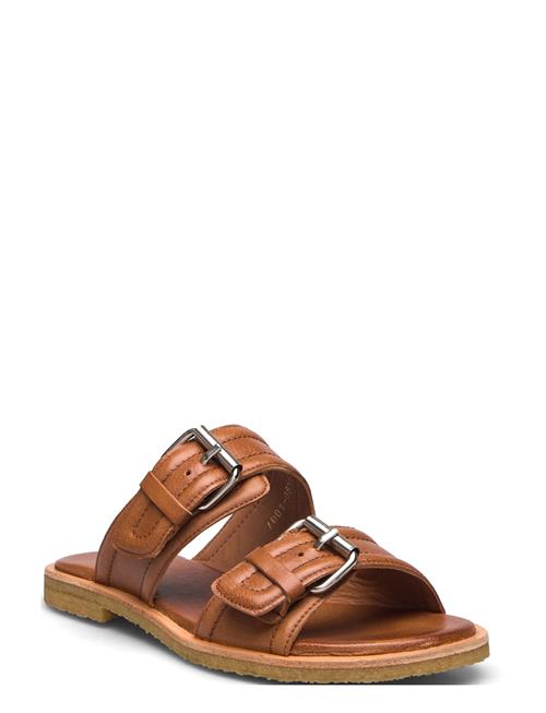 Billi Bi | Trotter | 37