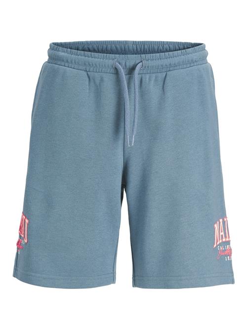 Jack & Jones Junior Bukser 'Kane Detroit'  blå / pink / hvid