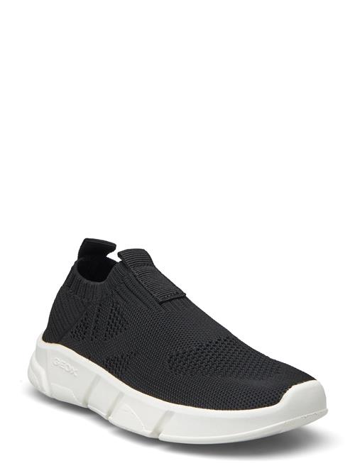 GEOX | J Aril Boy A | 28