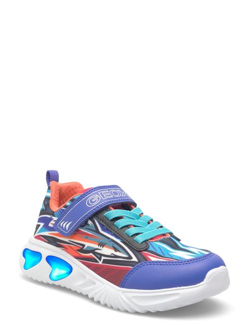 GEOX | J Assister Boy B | 35