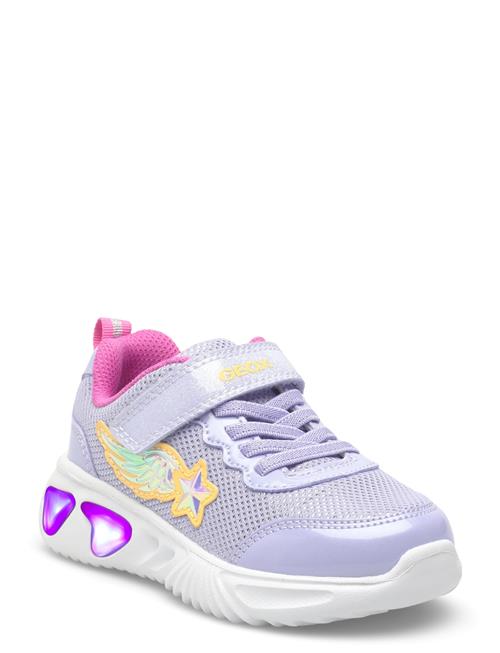 GEOX | J Assister Girl B | 26