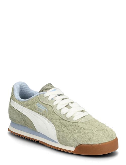 PUMA | Roma Anniversario Suede | 37