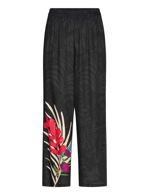 Desigual | Colibrí | S