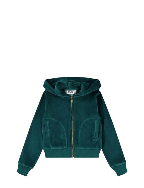 Molo | Milla | 140