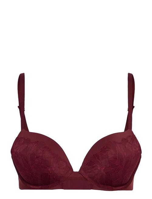 Calvin Klein | Push Up Plunge | C x 70