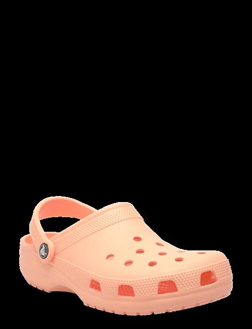 Crocs | Classic | 36/37