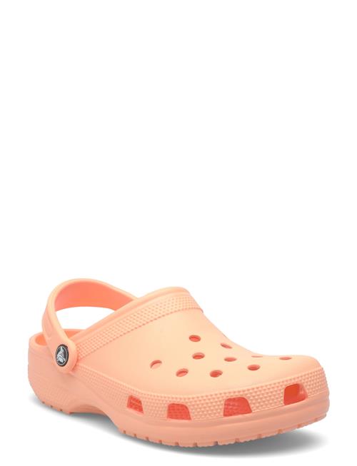 Crocs | Classic | 41/42