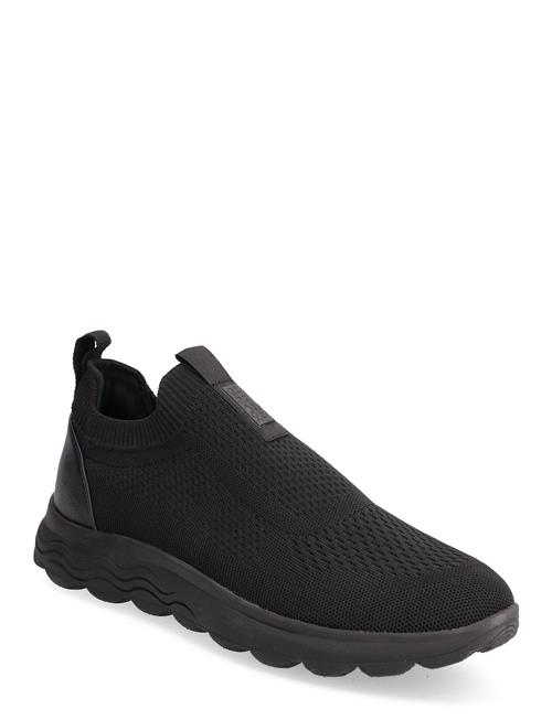 GEOX | U Spherica A | 46