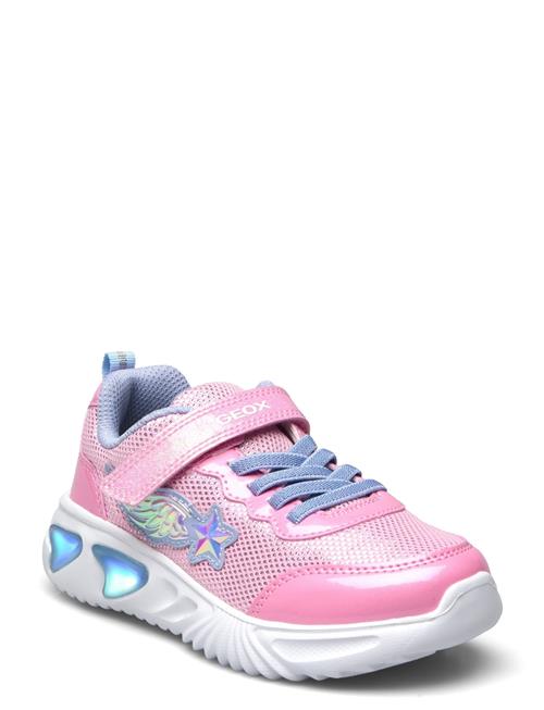 GEOX | J Assister Girl B | 30