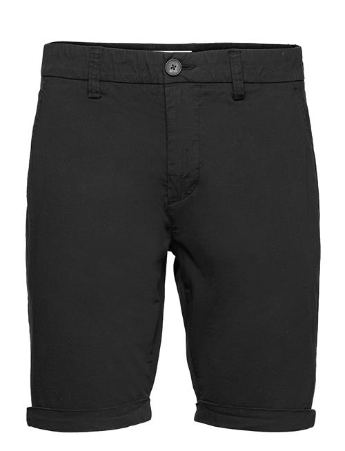 Knowledge Cotton Apparel | Chuck Regular Chino Shorts | 32