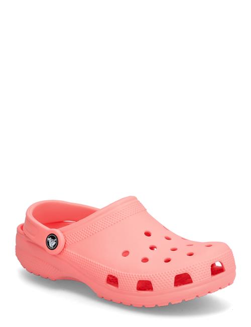 Crocs | Classic | 39/40