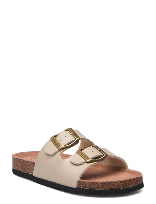 Exani | Spectra Slip-In | 33