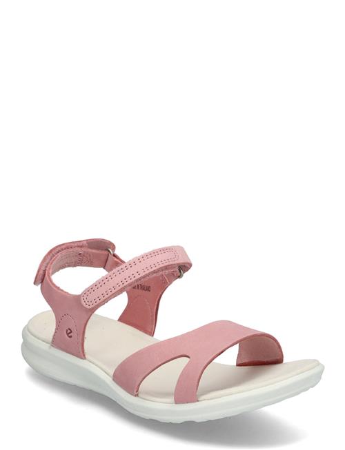 ECCO | Cruise Ii | 43