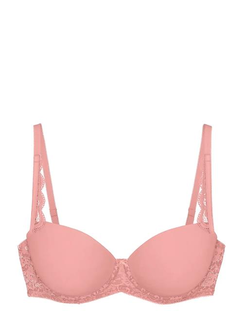 Triumph | Amourette Wp | C x 85