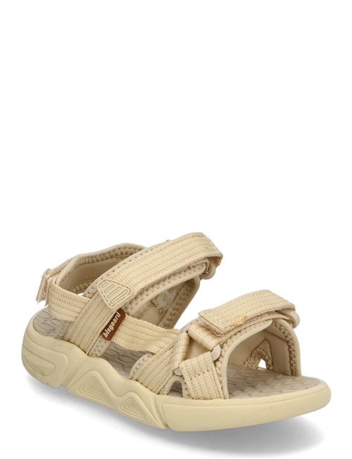 Bisgaard | Bisgaard Louis | 37