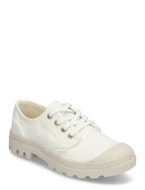 Palladium | Pampa Oxford | 41