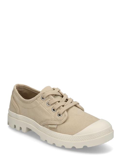 Palladium | Pampa Oxford | 38