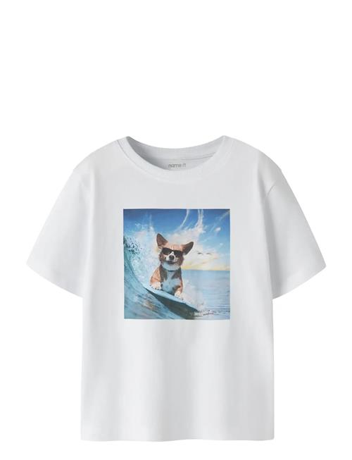 name it | Nmmvoto Ss Nreg Top | 116