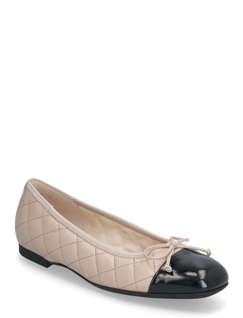 Gabor | Ballerina | 37