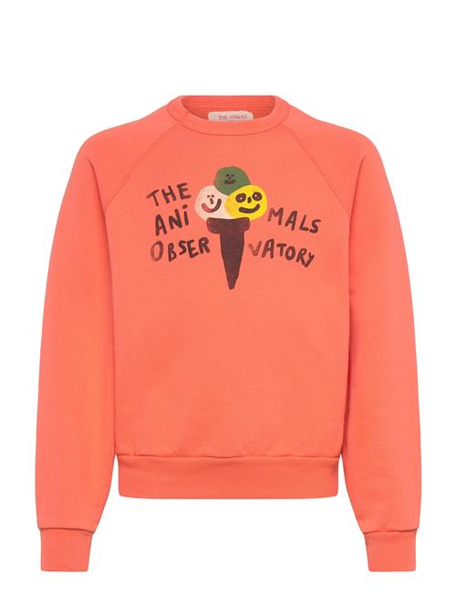THE ANIMALS OBSERVATORY | Shark Kid Sweatshirt Salmon | 10 Y