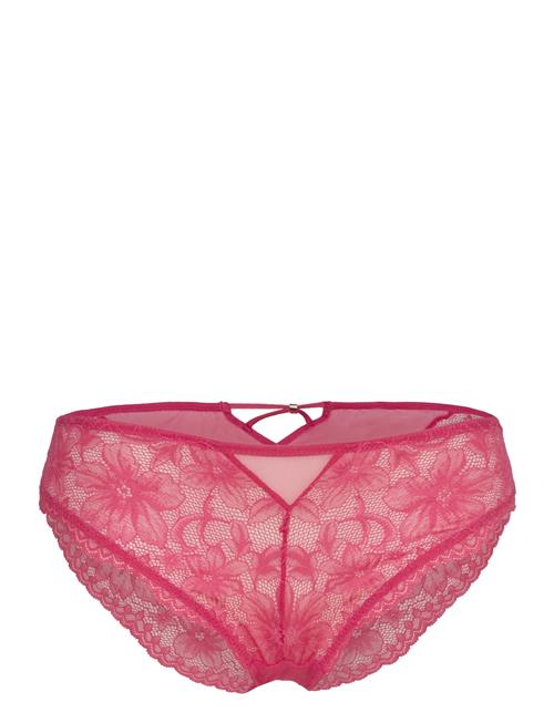 Dorina | Jemma Brief | XXL