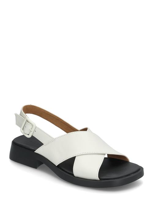 Camper | Dana | 36