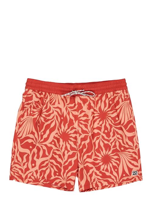 Billabong | Sundays Lb | M