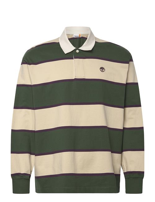 Timberland | Rugby Polo Shirt Pineneedle / Putty | XXL