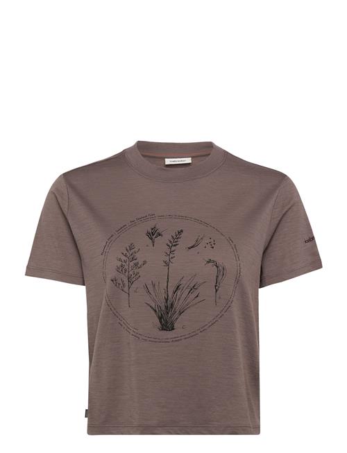 Icebreaker | W Mer 150 Tech Lite Ss Crop T Seed Stor | S