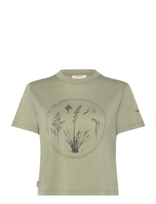 Icebreaker | W Mer 150 Tech Lite Ss Crop T Seed Stor | L