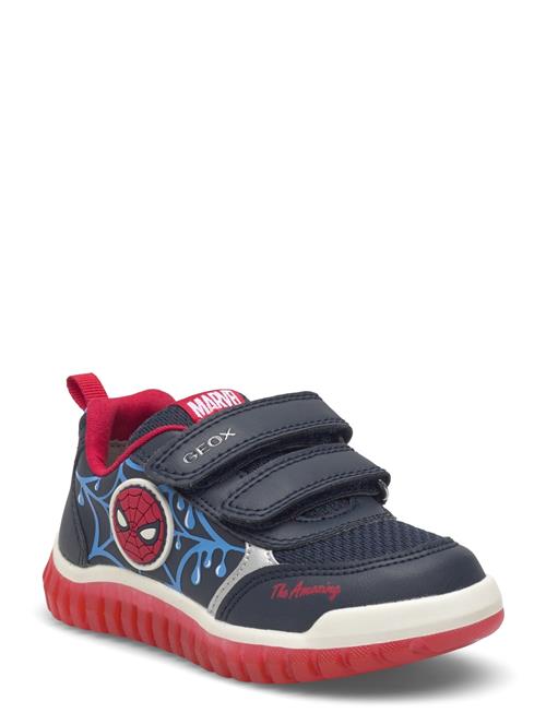 GEOX | B Lightyloo Boy C | 24