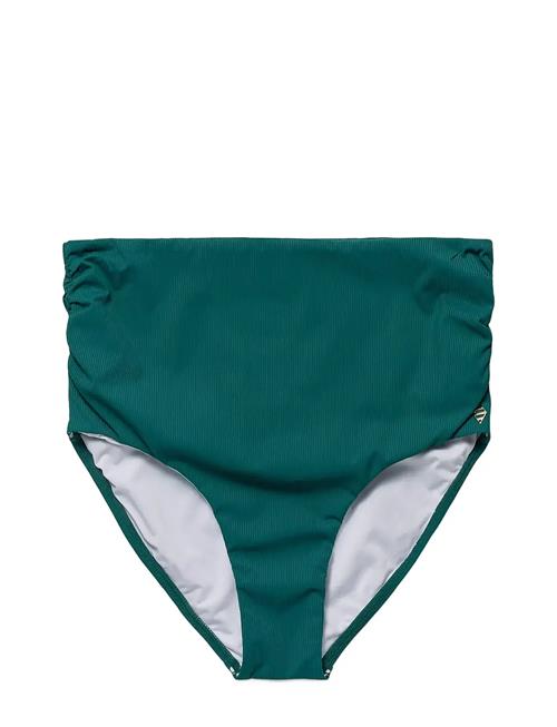 Panos Emporio | Rib Chara Bottom | 40