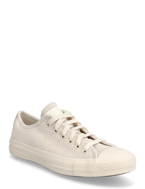 Converse | Chuck Taylor All Star | 36.5