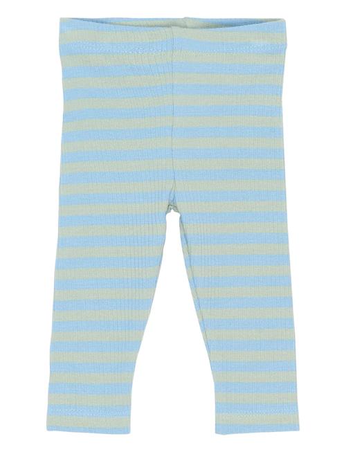 The New | Tnsbfro Rib Leggings | 74