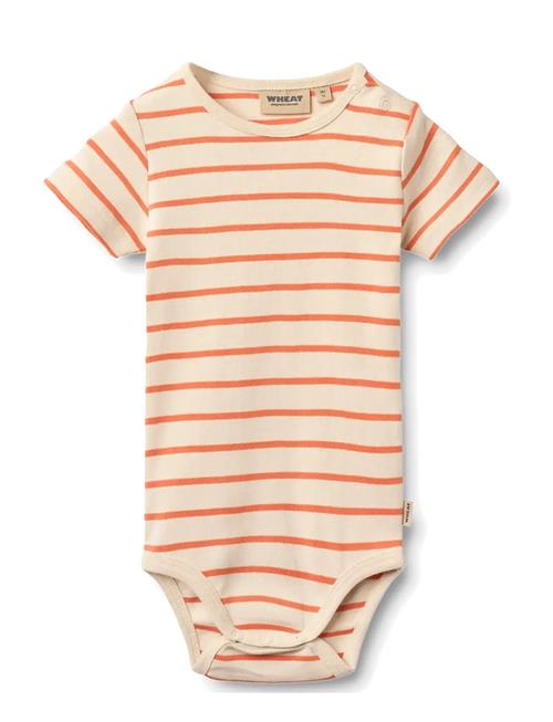 Wheat | Body S/S Edvald | 62