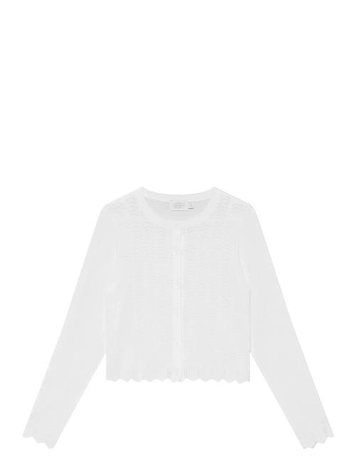 Creamie | Cardigan Pointelle | 152