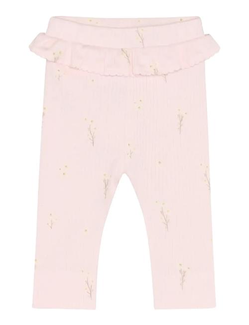 Fixoni | Leggings Rib | 56