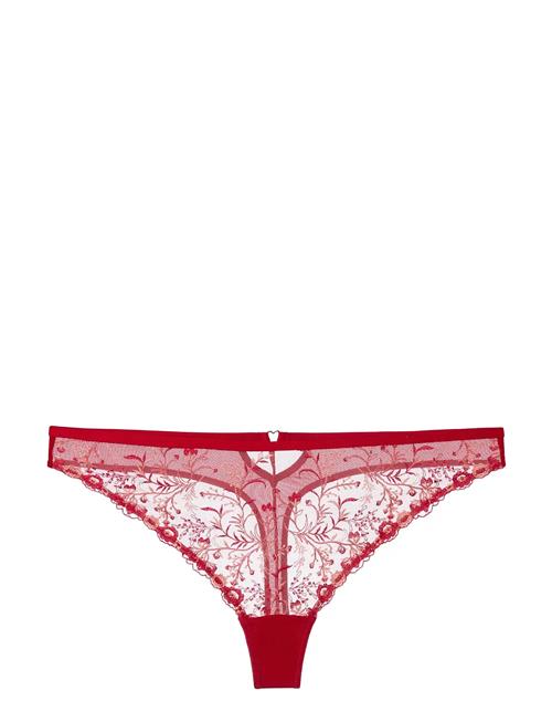 Dorina | Erin Thong | XXL