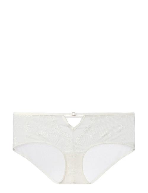 Dorina | Yelena Shorts | XL
