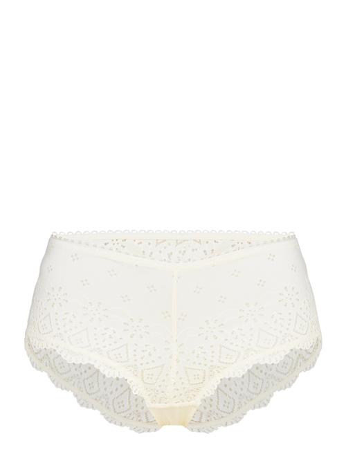 Dorina | Farah Shorts | XL