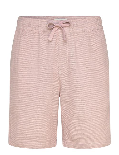 Fat Moose | Nova Shorts | XXXL