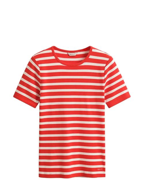 GANT | Striped Ribbed Ss T-Shirt | L