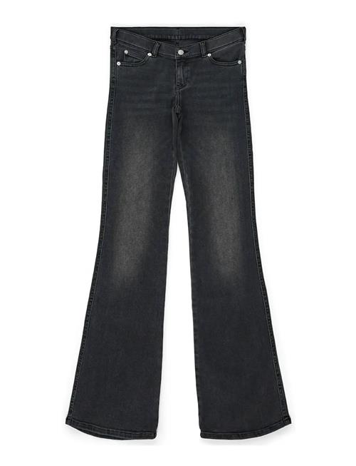 Dr Denim | Kily Low Bootcut | XL x 34
