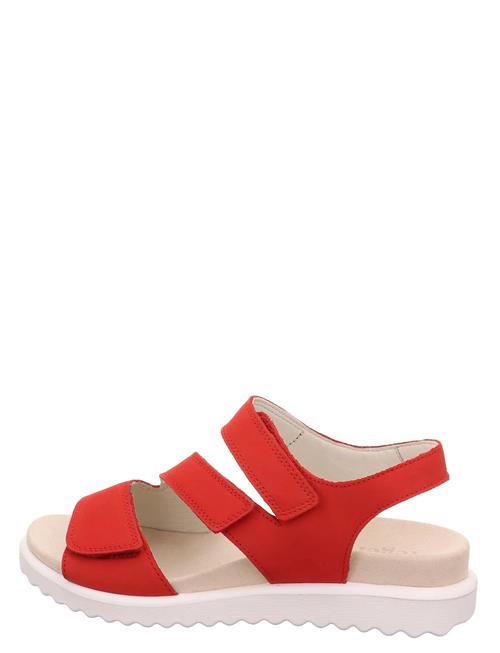 Legero | Move | 38