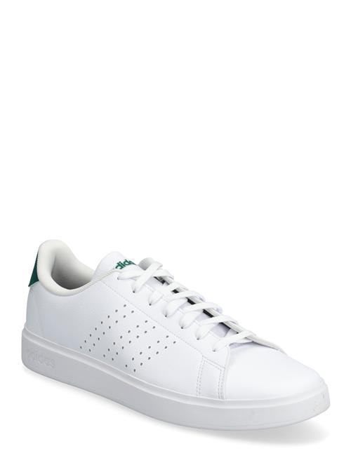 adidas Sportswear | Advantage 2.0 | 48