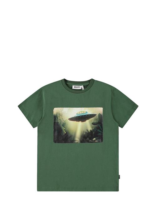 Molo | Riley | 104