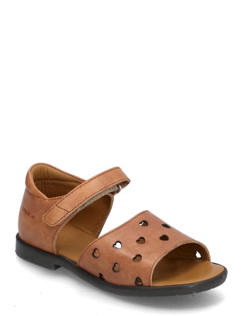 ANGULUS | Sandals - Flat  - Open Toe - Op | 36
